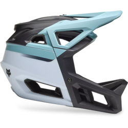 Fox Racing Proframe Rizer Helmet